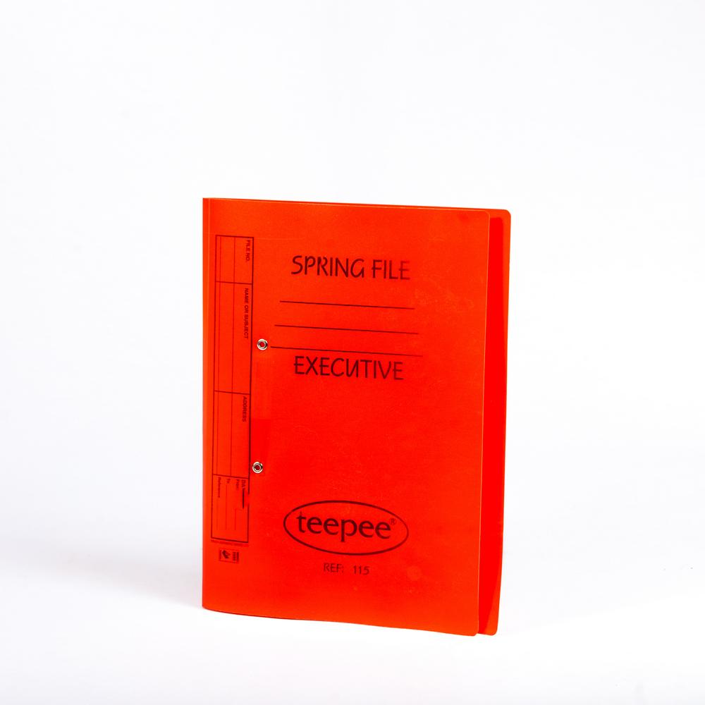 PVC Spring File Asst  Teepee