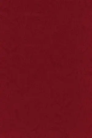 Embossed Board A4 Maroon 230gsm